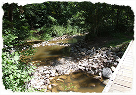 Allardale Park Stream Restoration